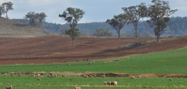 ما هو المناخ المداري الرطب؟