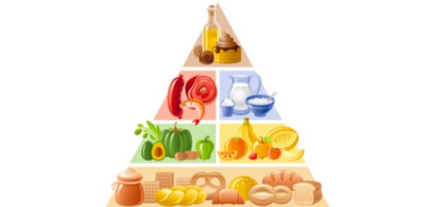 ما هو الهرم الغذائي