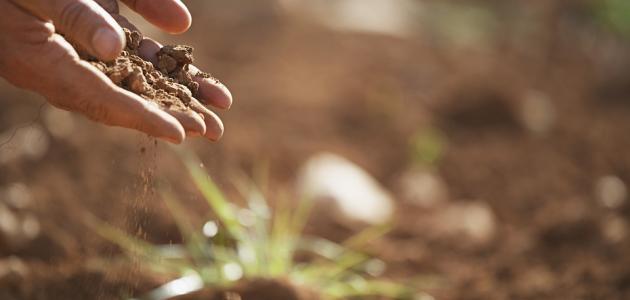 ما هو الوطن ما هو الوطن