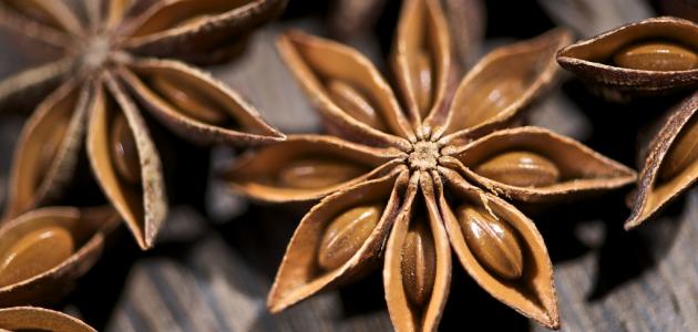 ما هو الينسون ما هو الينسون