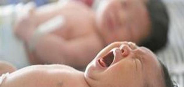 ما هو تحديد النسل ما هو تحديد النسل