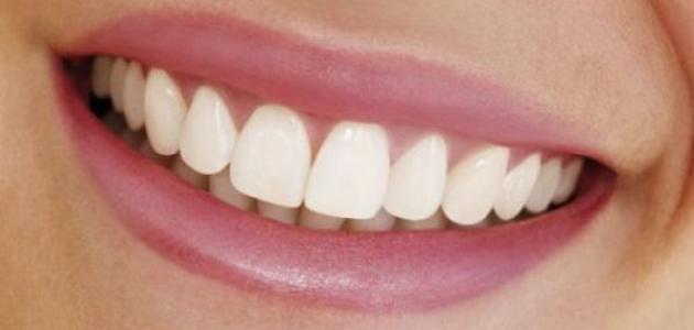 ما هو خراج الأسنان - فيديو ما هو خراج الأسنان - فيديو