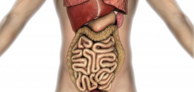 ما هو سبب مرض القولون