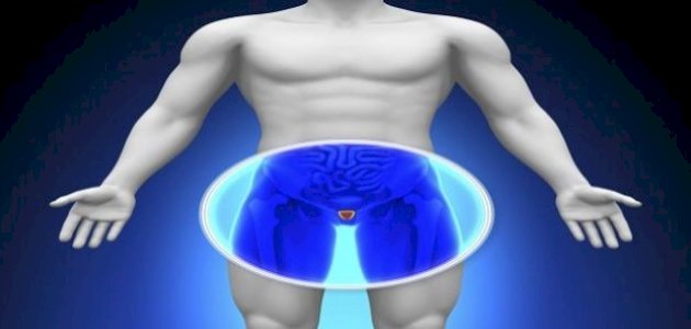 ما هو سرطان البروستاتا