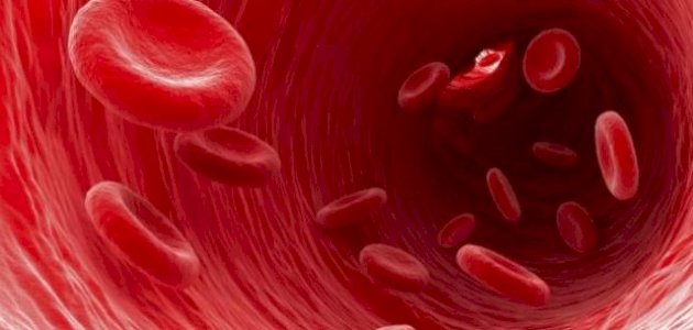 ما هو سرطان الدم