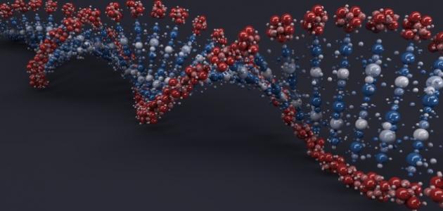 ما هو عدد الكروموسومات في جسم الإنسان ما هو عدد الكروموسومات في جسم الإنسان