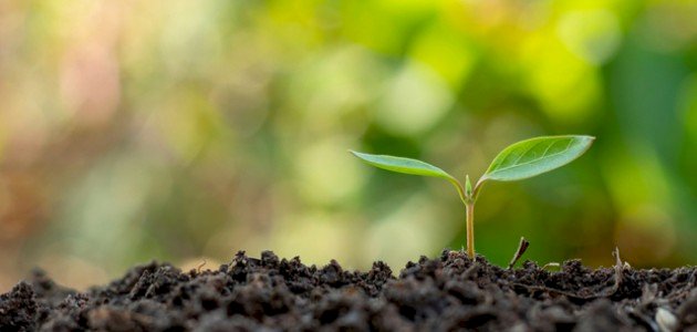 ما هو علم النبات ما هو علم النبات