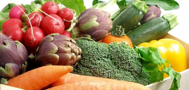 ما هو فيتامين ب12 ما هو فيتامين ب12