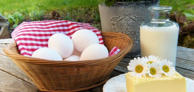 ما هو نقص الكالسيوم ما هو نقص الكالسيوم