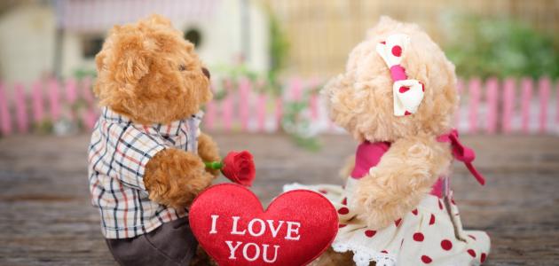 ما هي أعلى درجات الحب ما هي أعلى درجات الحب