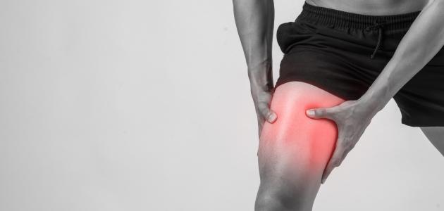 ما هي أقوى عضلة في الجسم