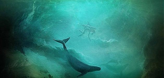 ما هي الاحلام ما هي الاحلام