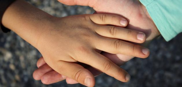 ما هي الثقة ما هي الثقة