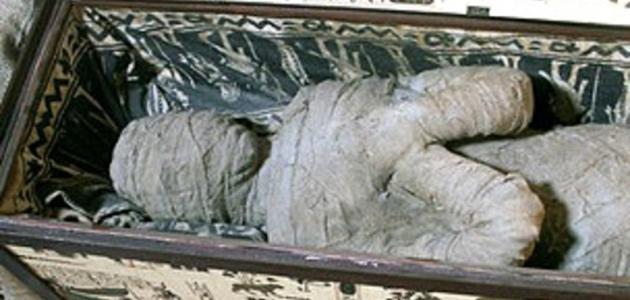 ما هي المومياء ما هي المومياء