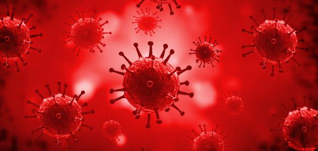 ما هي بكتيريا الدم