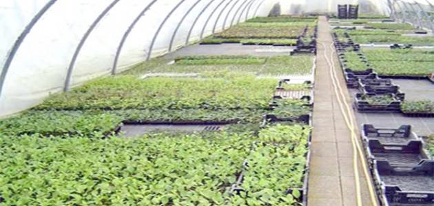 ما هي طرق الفلاحة البيولوجية ما هي طرق الفلاحة البيولوجية