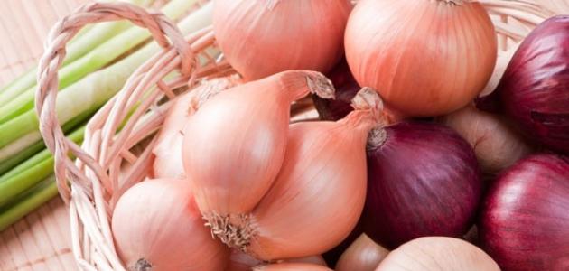ما هي فوائد البصل للجسم ما هي فوائد البصل للجسم
