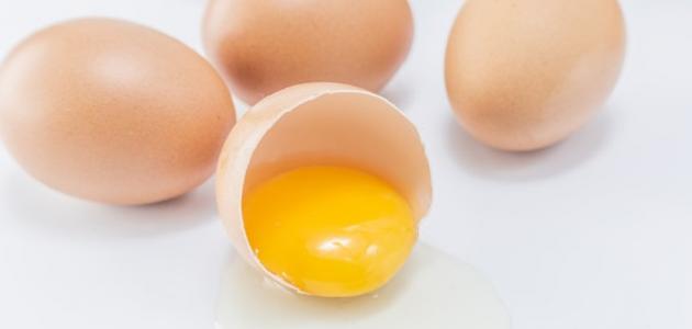 ما هي فوائد صفار البيض ما هي فوائد صفار البيض