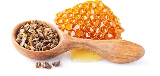 ما هي فوائد عكبر النحل ما هي فوائد عكبر النحل