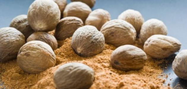 ما هي فوائد وأضرار جوزة الطيب ما هي فوائد وأضرار جوزة الطيب