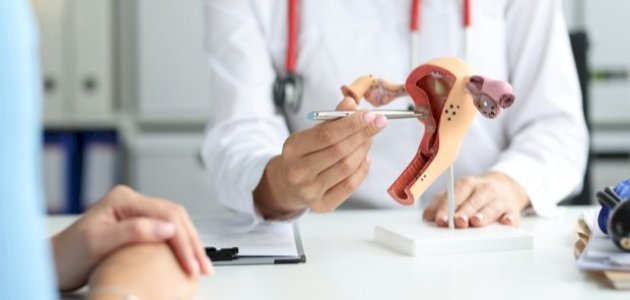 ما هي قناة فالوب ما هي قناة فالوب