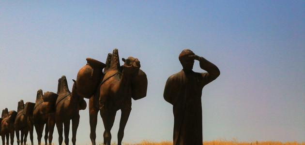 متى ولد حاتم الطائي