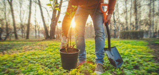 مجالات العمل التطوعي في السعودية