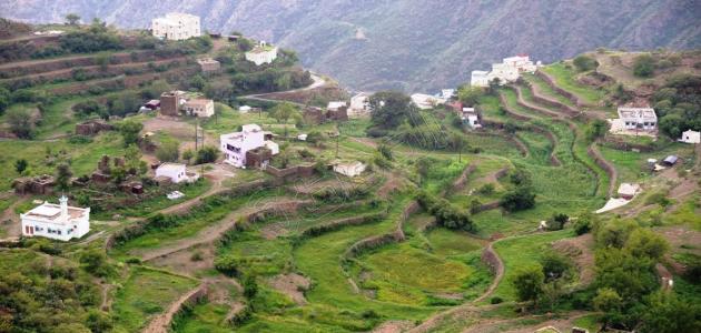 محافظة رجال ألمع