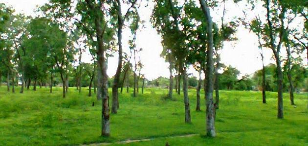 مدينة الدلنج في السودان