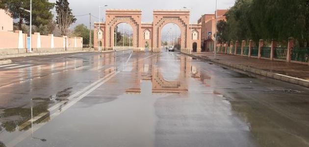 مدينة الريش