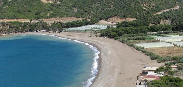 مدينة الشلف