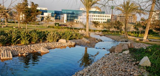 مدينة المنصورة