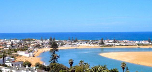 مدينة الوليدية