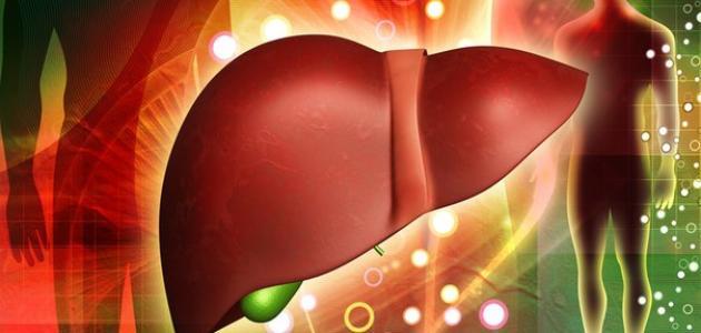 مراحل غيبوبة الكبد مراحل غيبوبة الكبد