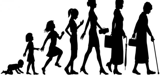 مراحل نمو الإنسان في علم النفس مراحل نمو الإنسان في علم النفس