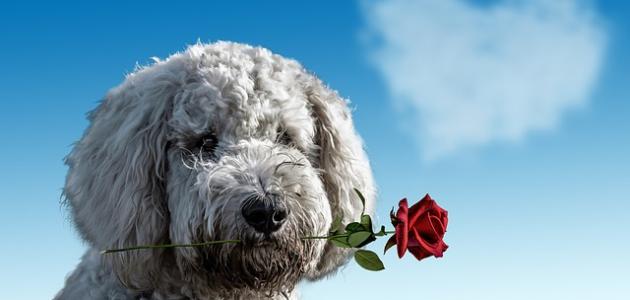 مسجات عن الصداقة مسجات عن الصداقة