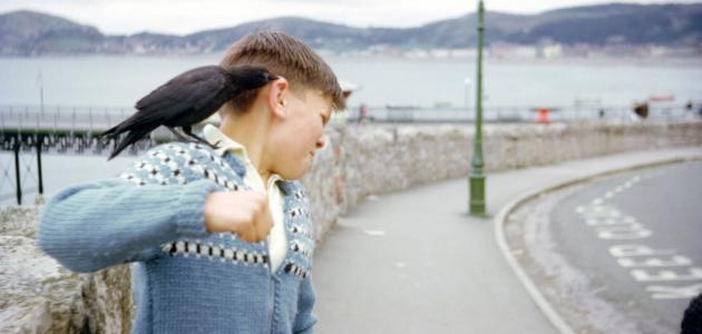 مظاهر السلوك العدواني مظاهر السلوك العدواني