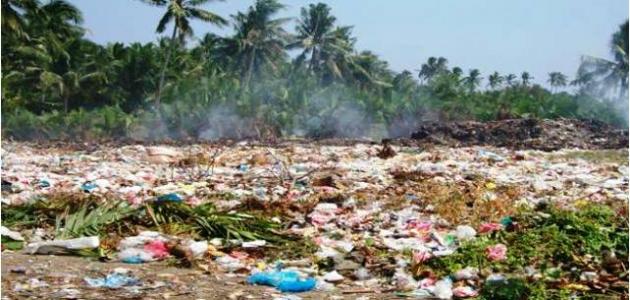 مظاهر تدهور التنوع البيولوجي وأسبابه مظاهر تدهور التنوع البيولوجي وأسبابه