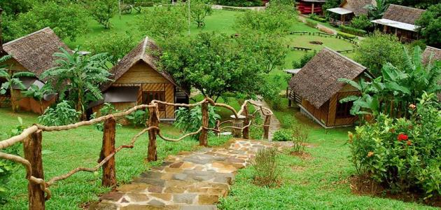 معلومات عن تايلند