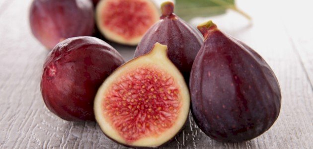 معلومات عن ثمرة التين معلومات عن ثمرة التين
