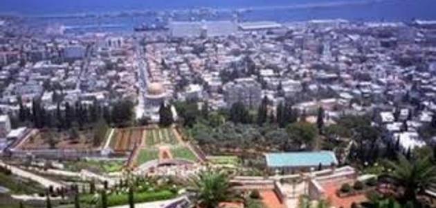 معلومات عن حيفا