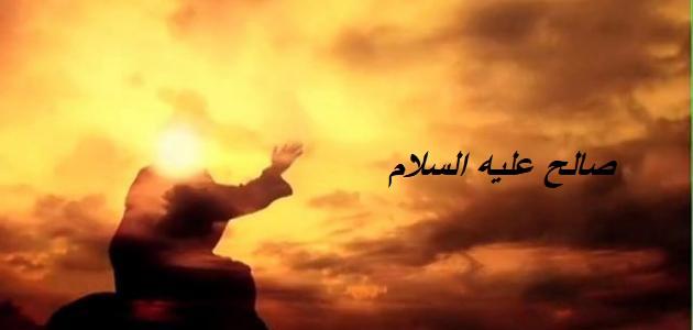 معلومات عن سيدنا صالح عليه السلام