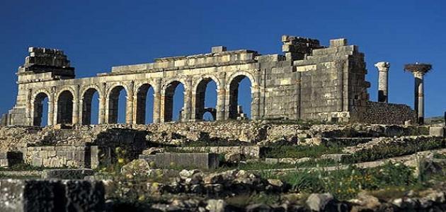 معلومات عن مدينة وليلي