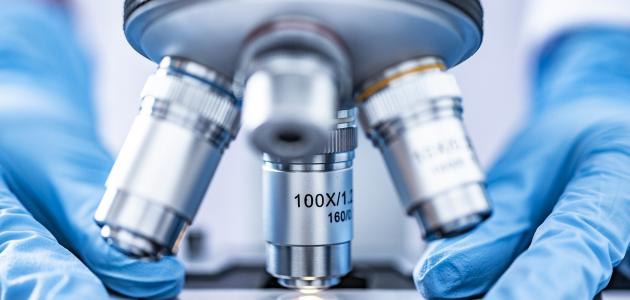 مفهوم الأنسجة الرخوة