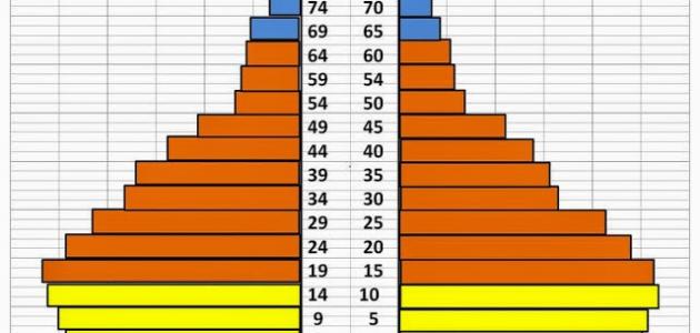 مفهوم البنية السكانية مفهوم البنية السكانية