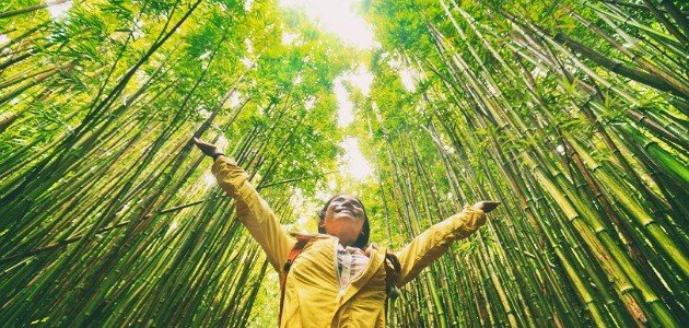 مفهوم البيئة في المنظور الجغرافي