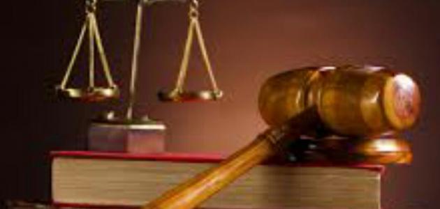 مفهوم السلطة التنفيذية مفهوم السلطة التنفيذية