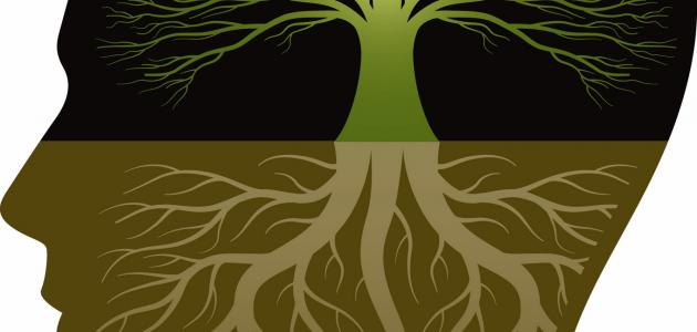 مفهوم النمو في علم النفس مفهوم النمو في علم النفس