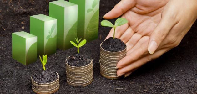 مفهوم تنمية المجتمع المحلي مفهوم تنمية المجتمع المحلي