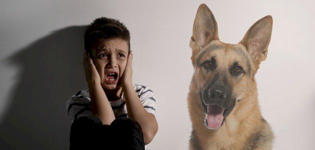 مفهوم فوبيا الحيوانات مفهوم فوبيا الحيوانات